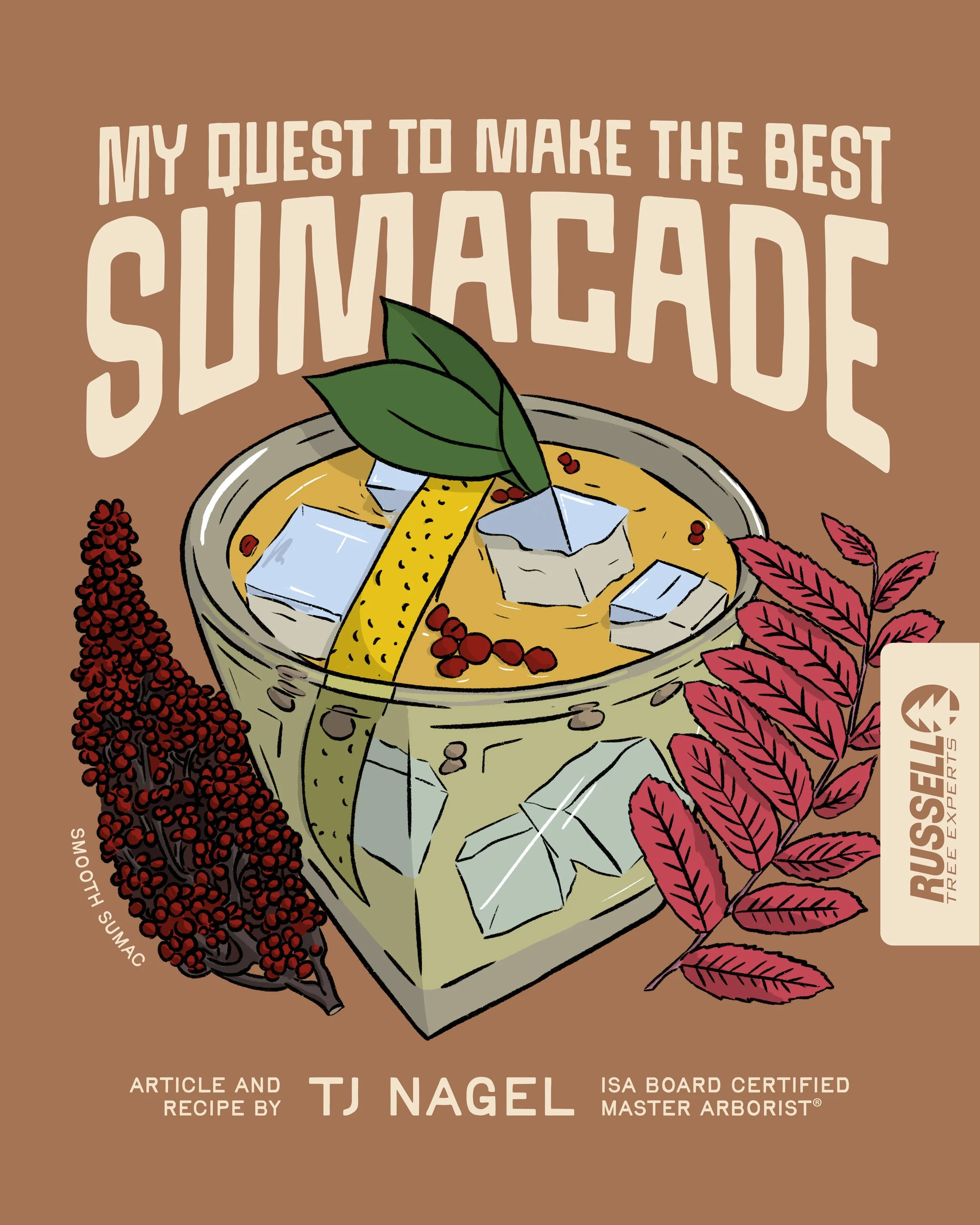 My Quest to Make the Best Sumacade