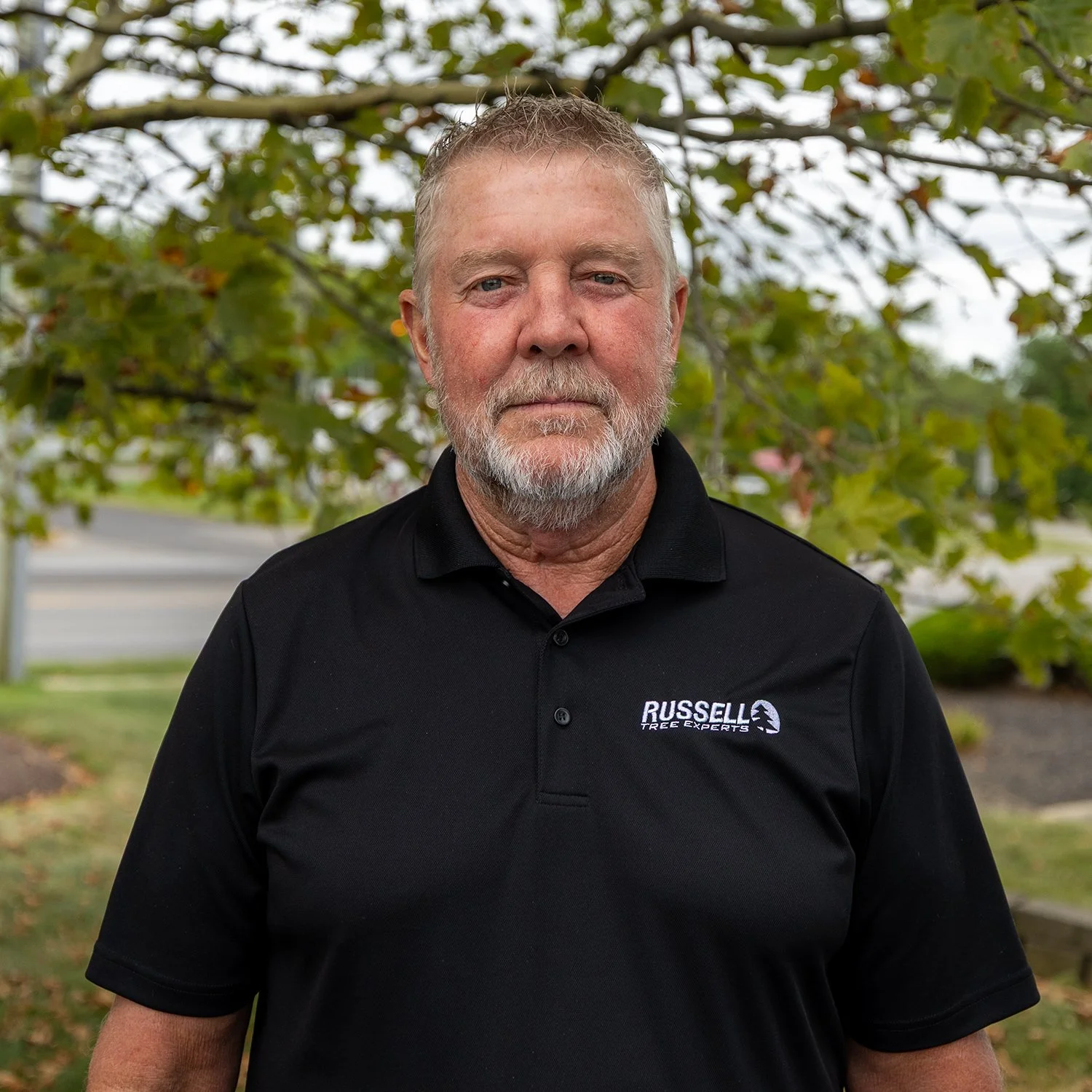 Mike Tree Russell Tree Experts — Tree Work in the Winter?