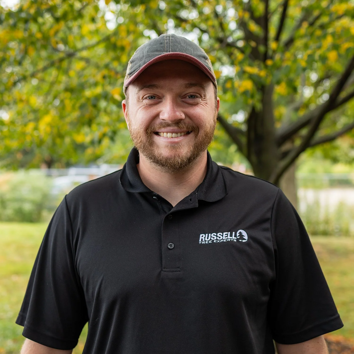 Russell Tree Experts — Beech Leaf Disease: The Looming Threat to ...