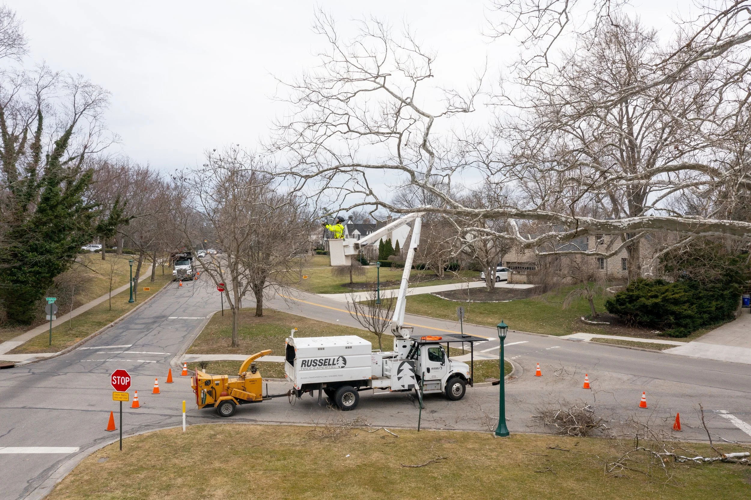 Russell Tree Experts, LTD