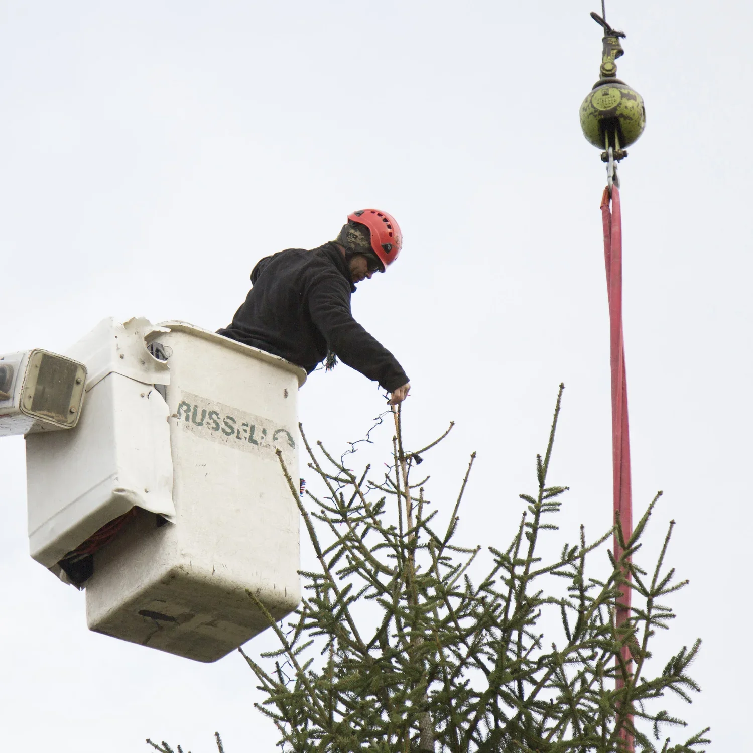  Holiday Tree Installations  
With our cranes and bucket trucks, we can install and light even the largest of trees in your park