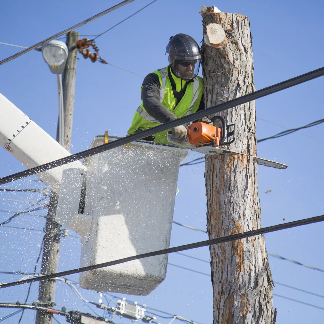  Street Tree Removals  
We're well-versed in street-side tree removals. Our crews are EHAP (line clearance qualified) and experienced to remove even the largest roadside trees.