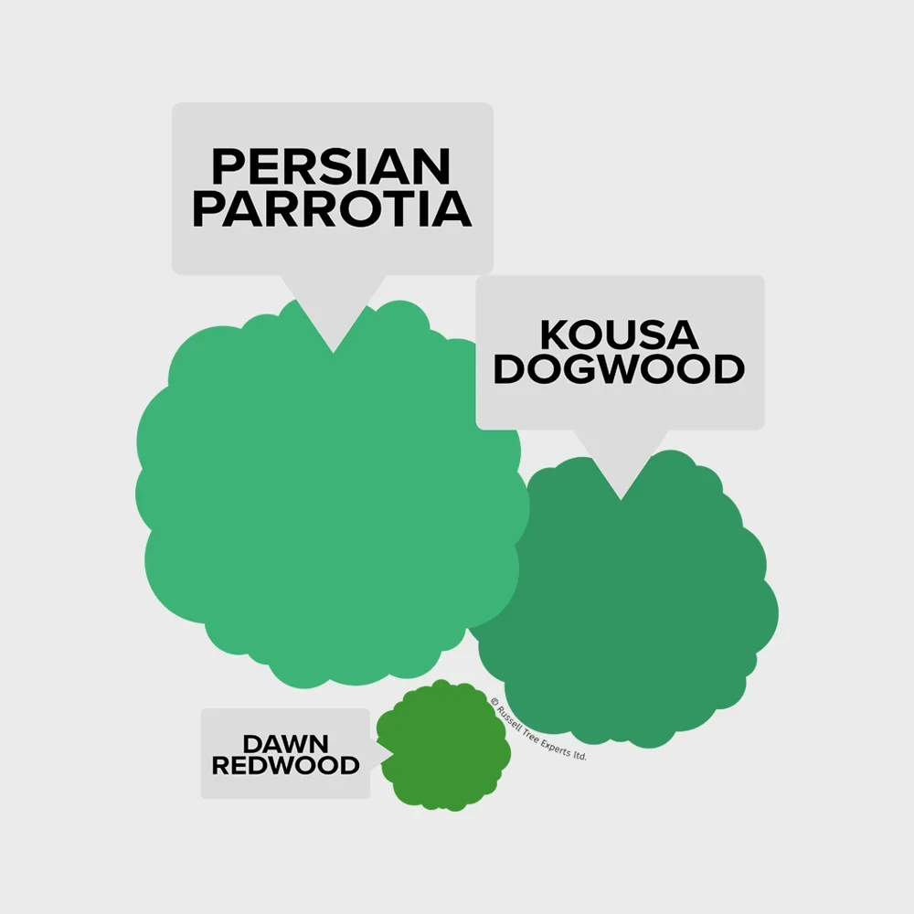  Tree Mapping  
Our experts can identify any tree/shrub and provide the essential information needed for long term health of the landscape.