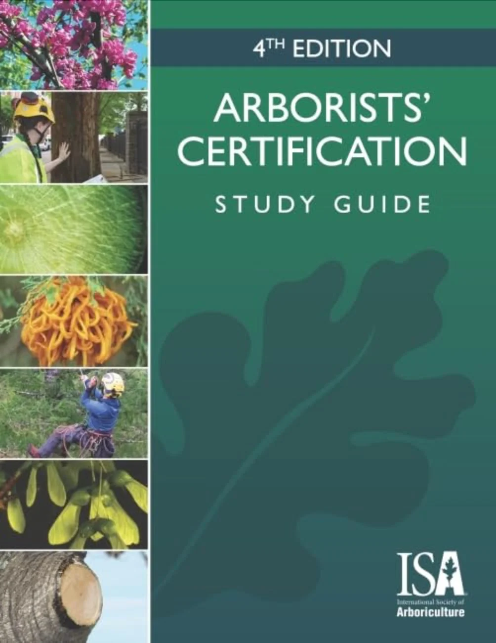 Russell Tree Experts — The 5 Steps to Become an ISA Certified Arborist®!