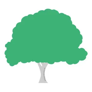  STEP 3 Monitor  
Enjoy your landscape throughout the year! Monitor your trees and give us a call if you have any questions or concerns!