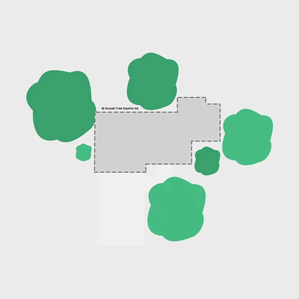  Pre-Construction Tree Preservation  
Trees often die around new home sites due to soil compaction and construction damage. We will build a custom plan for the construction crew to follow to ensure desired trees remain living.