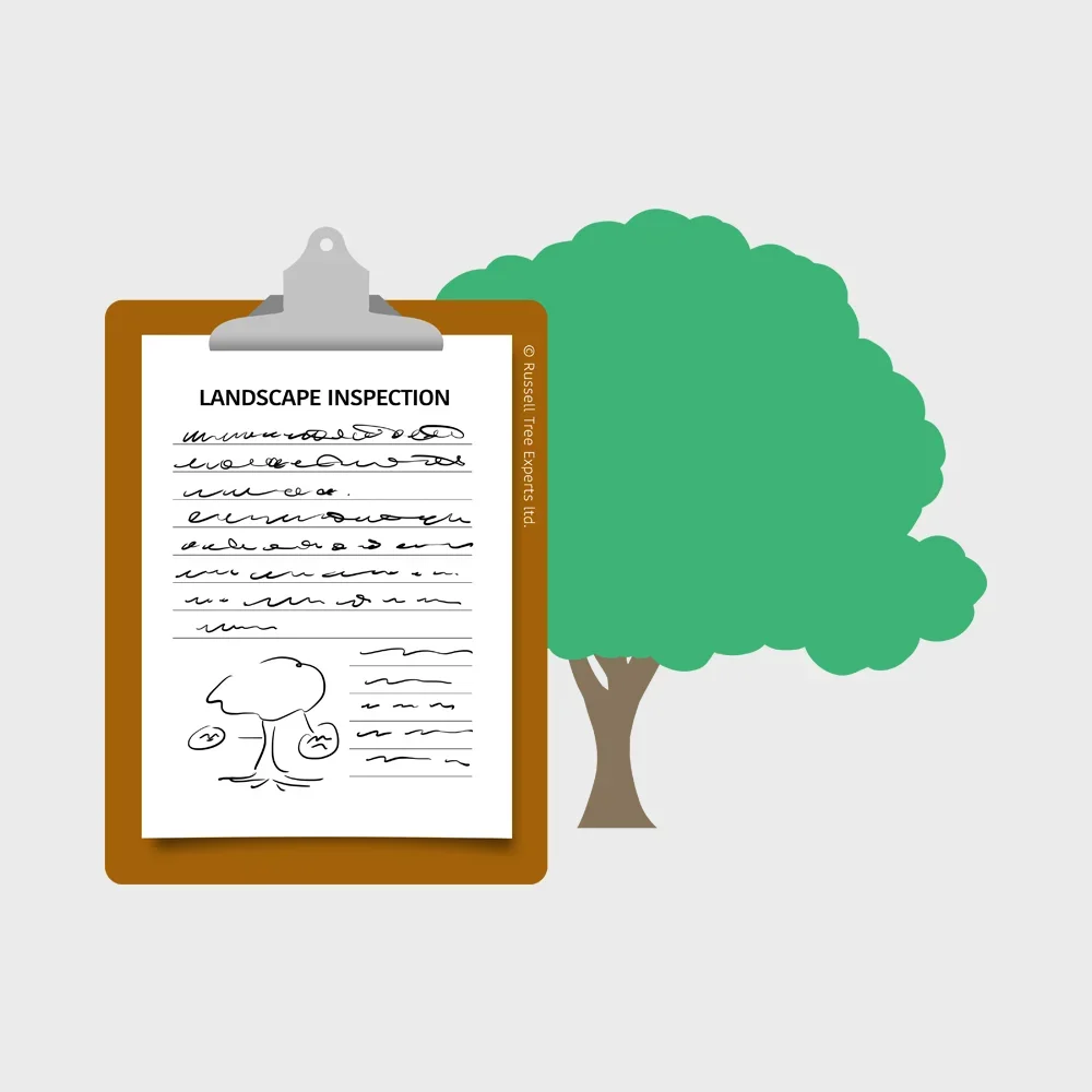 Landscape Inspections  
Our experts evaluate the current health and associated risks mature trees can pose to existing structures, making the pre-purchase inspection process truly compete.