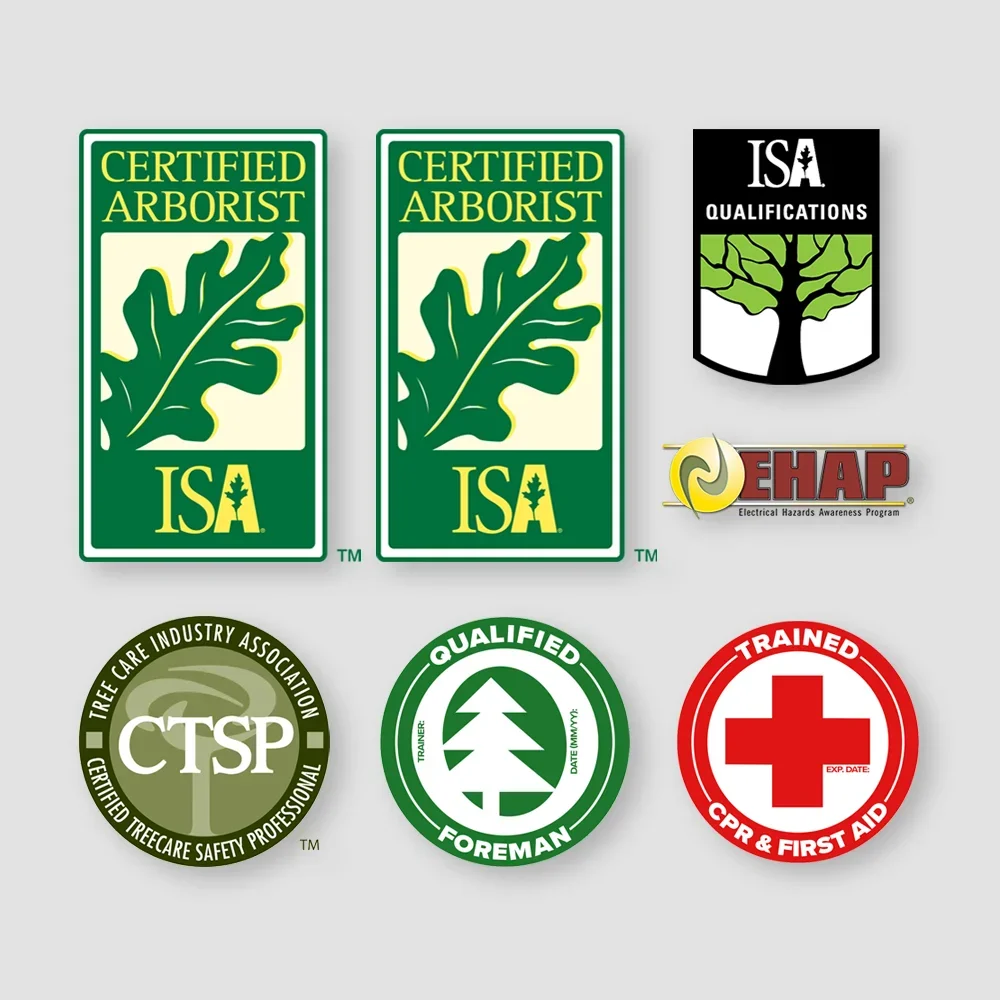  Education  
✓ ISA Certified Arborists®  
✓ ISA BCMAs®  
✓ TCIA CTSPs  
✓ Line Clearance Qualified Crews  
✓ First Aid & CPR Certified  