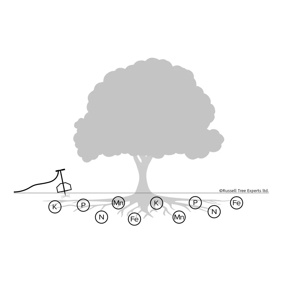  STEP 1
 Fertilization   
In the spring or fall the soil around the tree will be fertilized with a custom selection of the following: Nitrogen (N), Phosphorus (P), Potassium (K), Iron (Fe), Manganese (Mn), and liquid compost - all essential nutrients