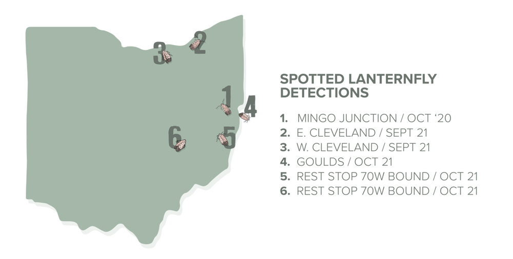 Fly Ohio Map Russell Tree Experts — Spotted Lanternfly: They Are Getting Close!