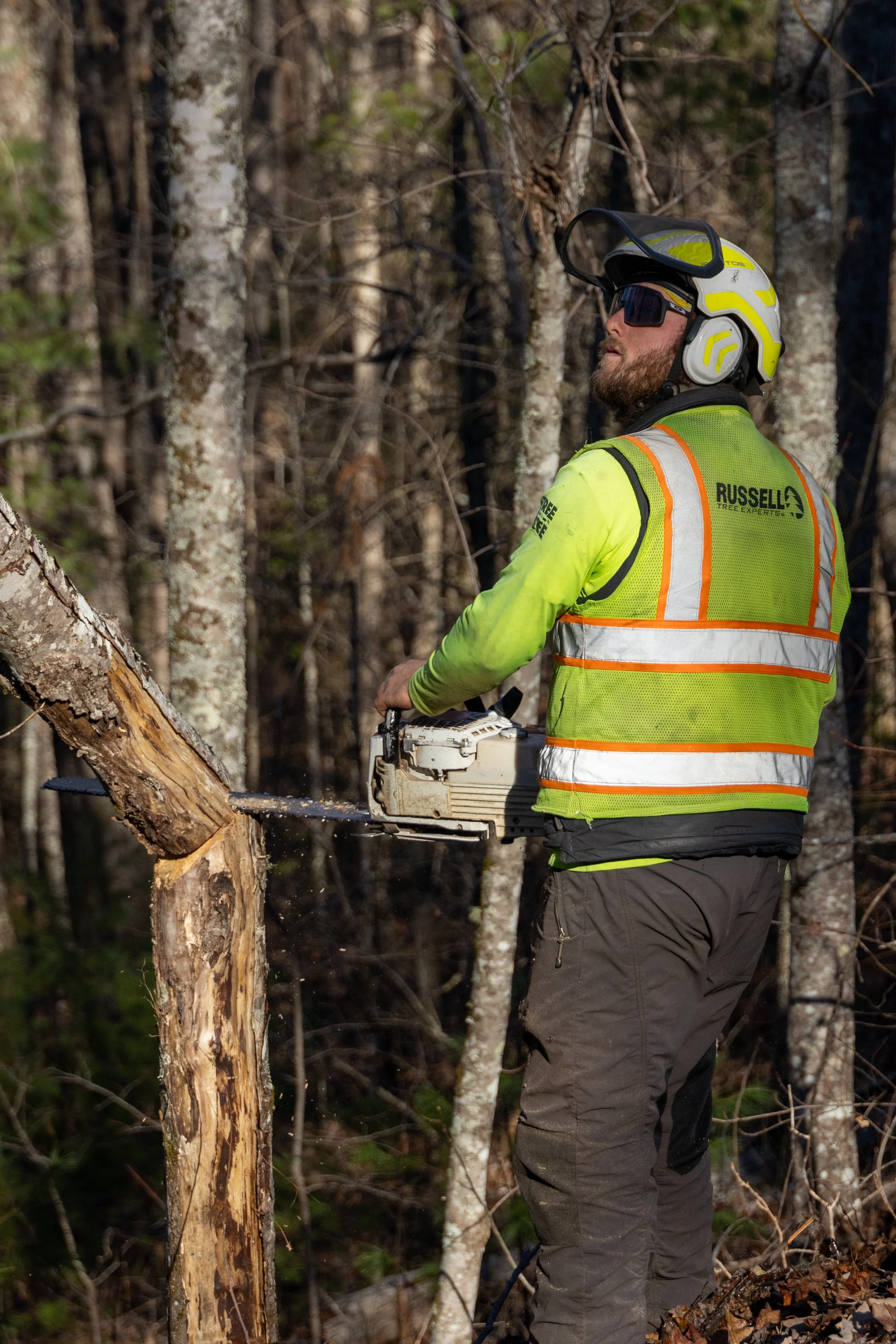 240104_RTE_Photo_GSMNP_Set1Removals_Edited-9.jpg