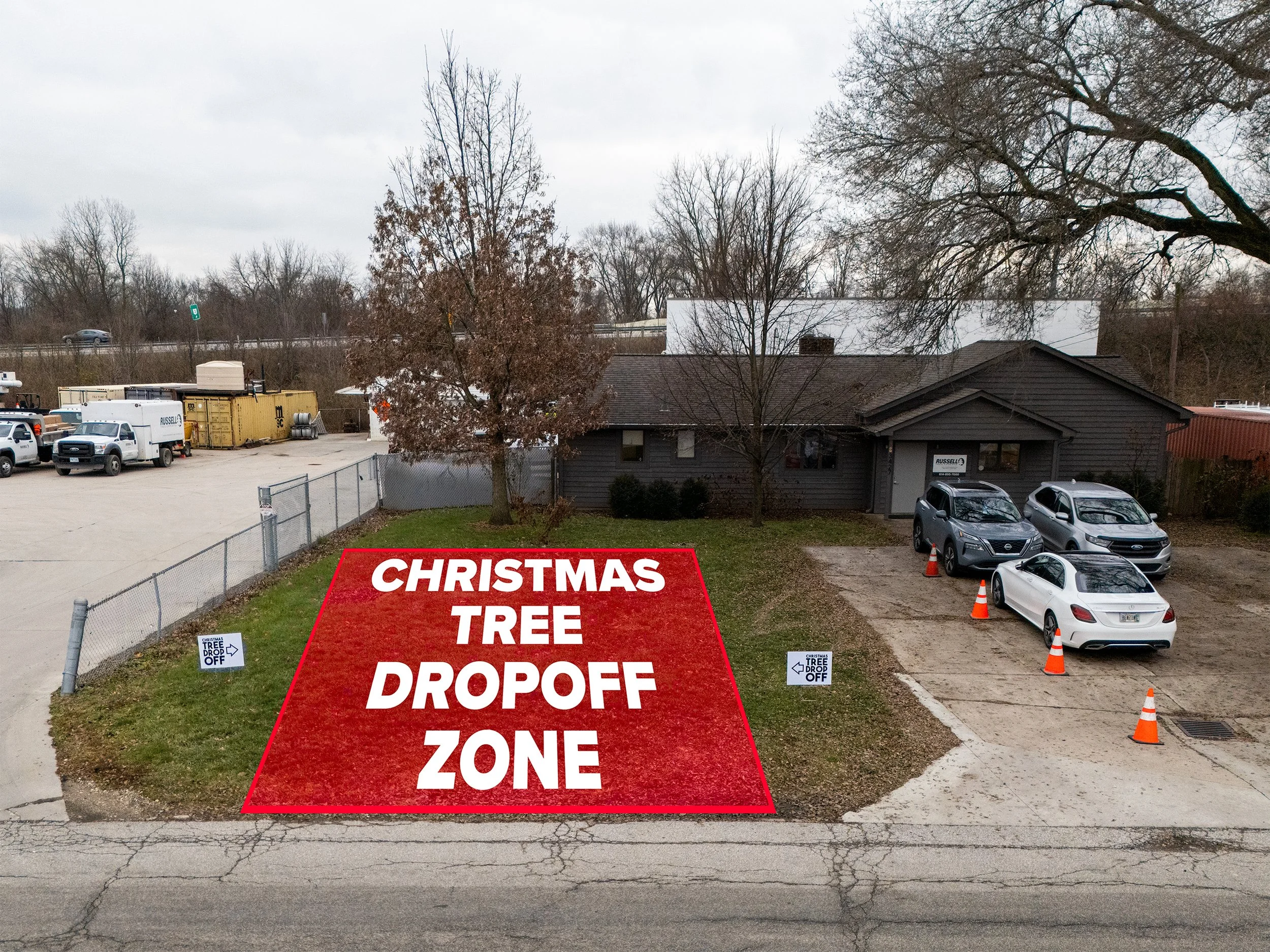 Russell Tree Experts — Guide to Choosing the Right Christmas Tree for You!