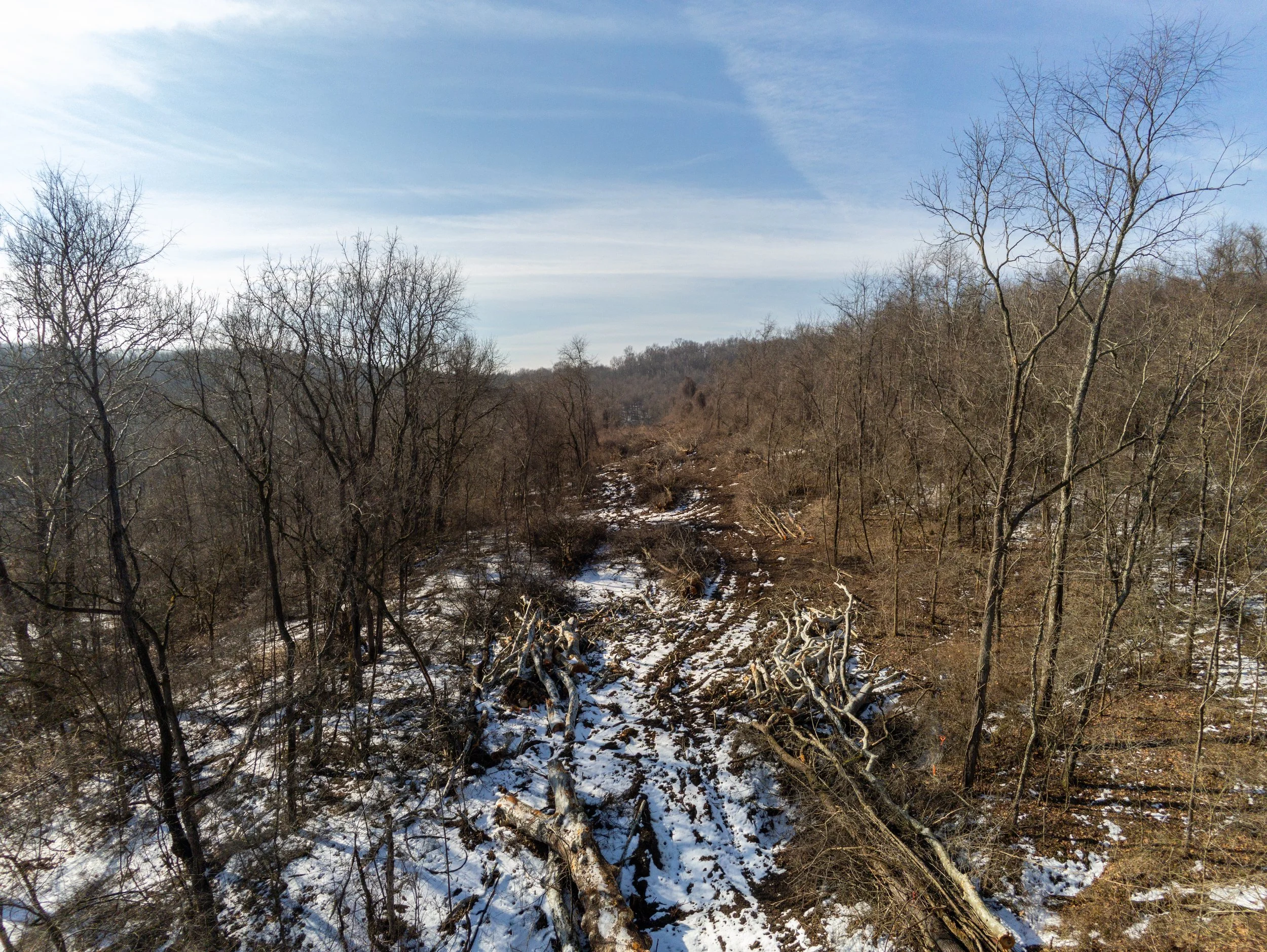 260217_RTE_P_ParrotAnafiUSA_SouthWarsawSwitch_TreesDown_Edited-5.jpg