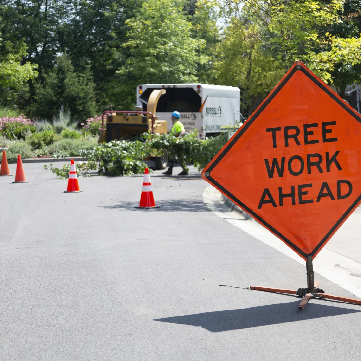  Street Tree Pruning  
We're experts in pruning trees to clear city roadways of overhanging limbs.