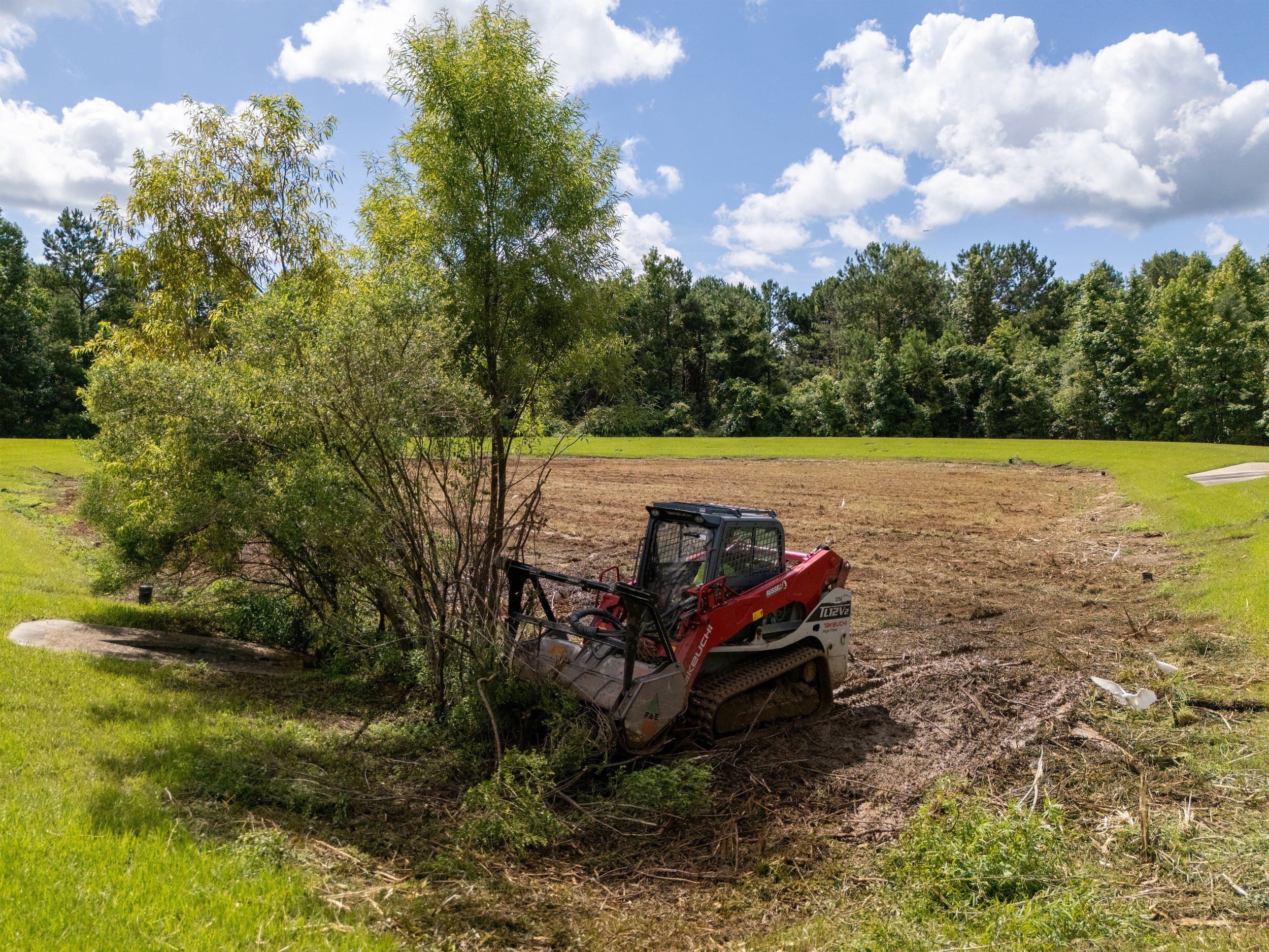 240722_RTE_Photo_TNC_Clearing_Edited-7.jpg