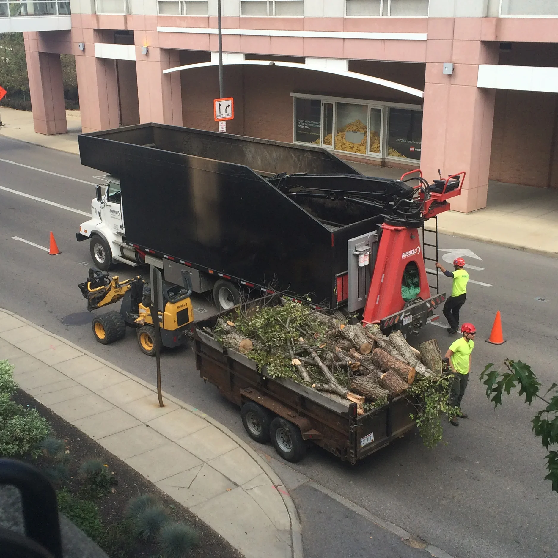  Tree Services  
It's important that your business is beautiful inside and out - We're here to provide all the tree services needed to make your company's trees be healthy and beautiful.
