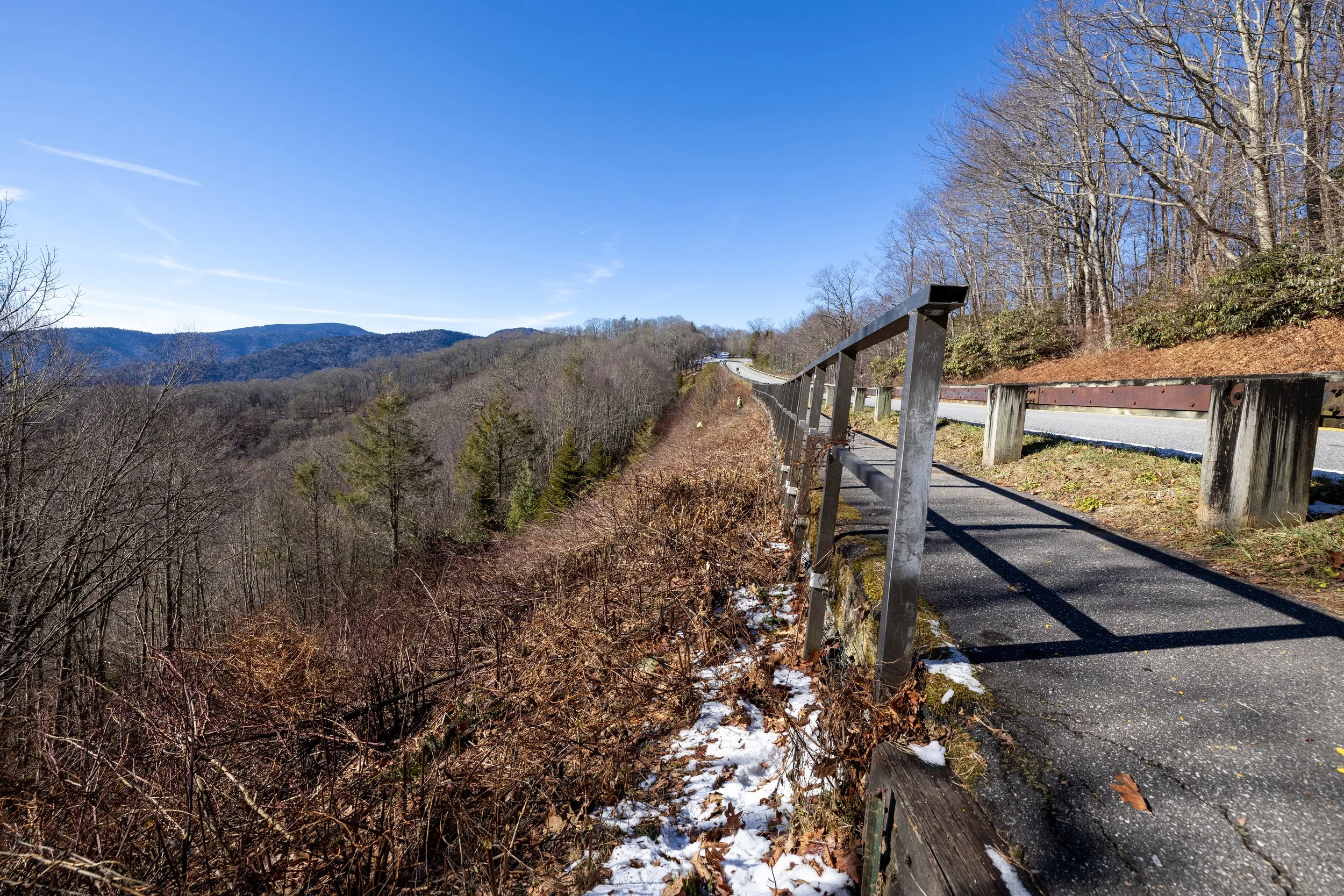 240104_RTE_Photo_GSMNP_Set2VistaClearing_Edited-1.jpg