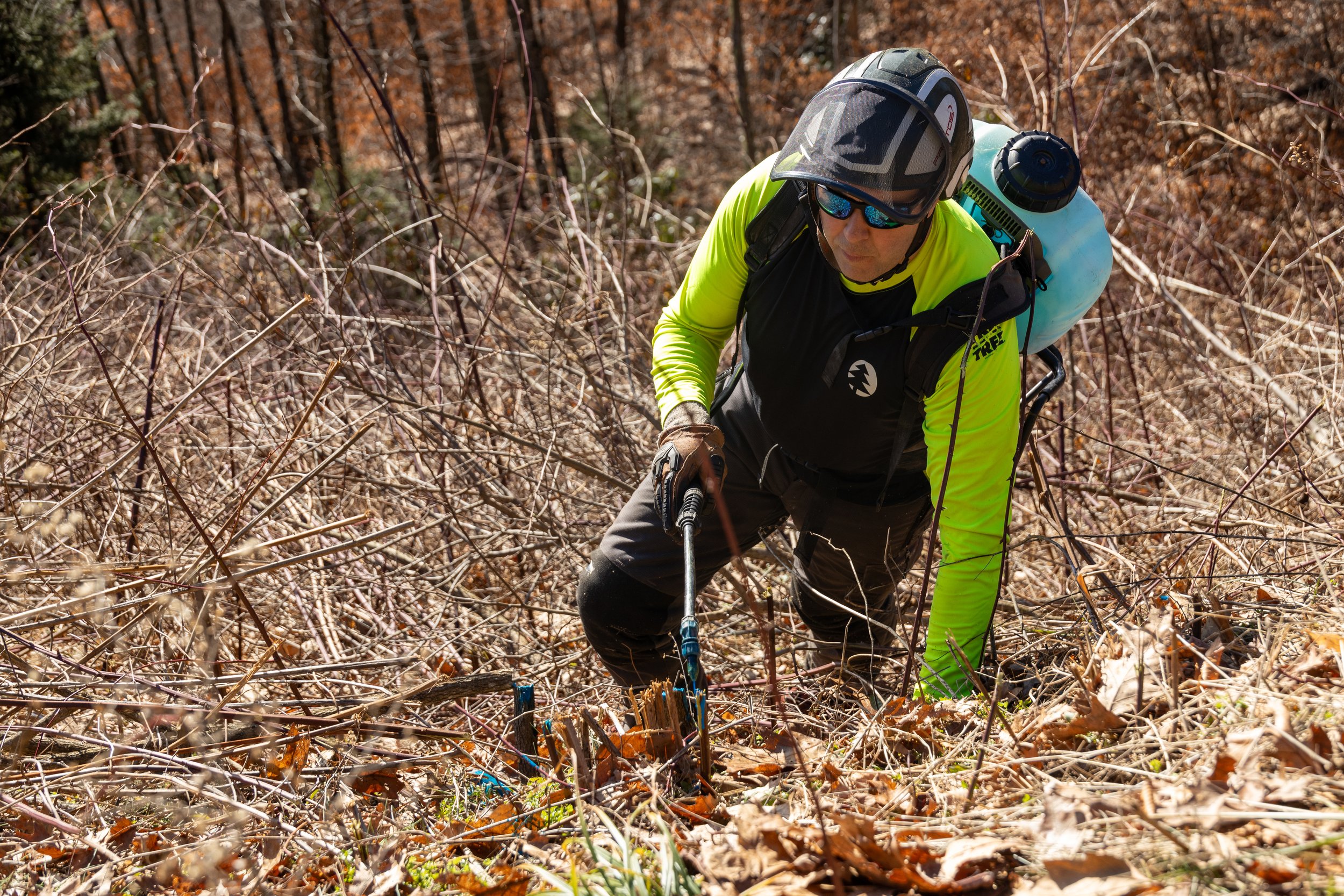 240104_RTE_Photo_GSMNP_Set2VistaClearing_Edited-7.jpg