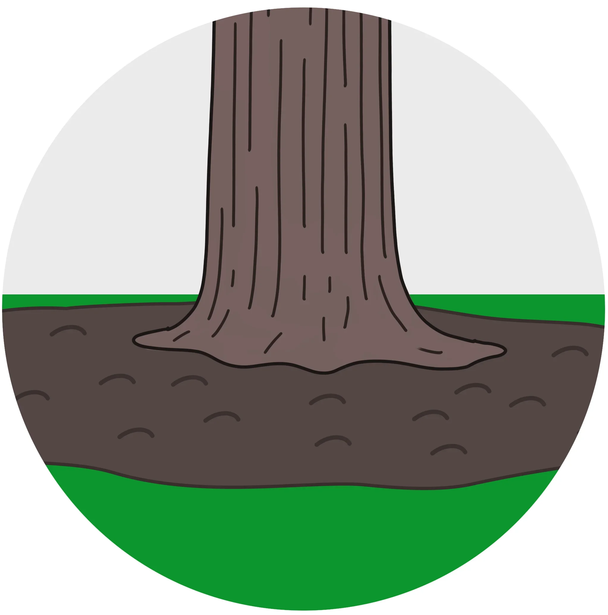  STEP 4  
The root zone is then covered with composted mulch and voila! - the tree can “breathe” again!