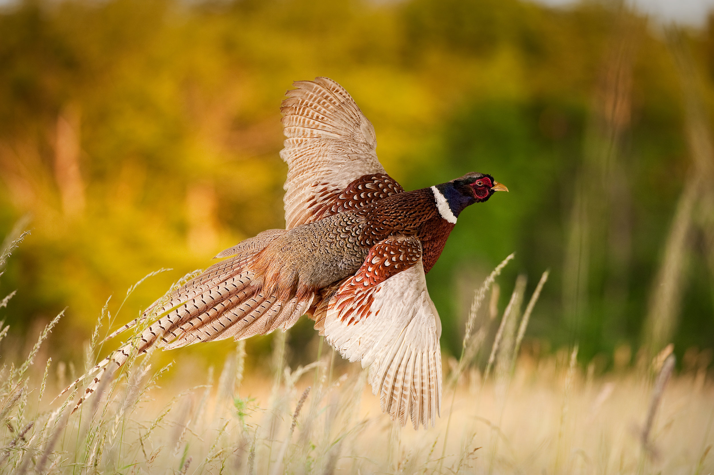 AdobeStock_137811801.jpeg