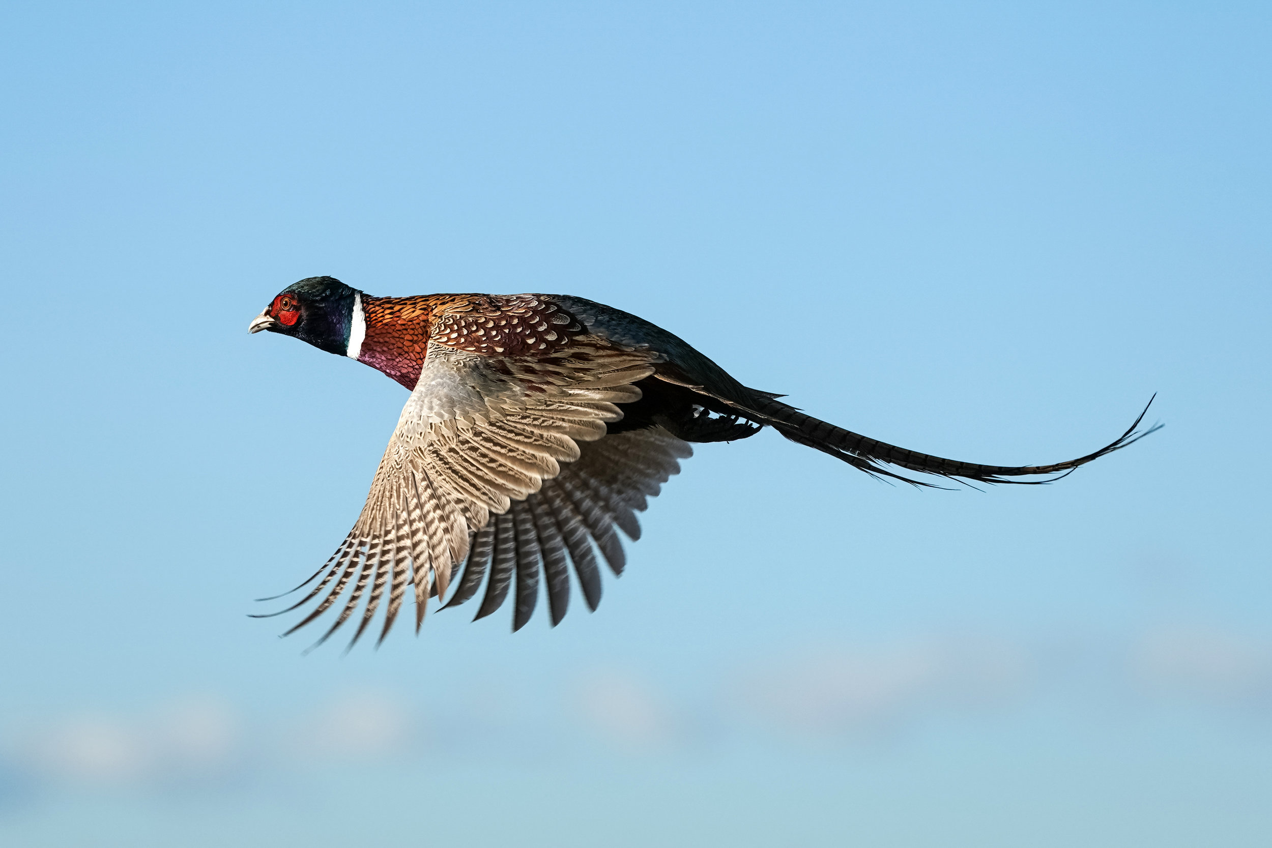 AdobeStock_184581979.jpeg