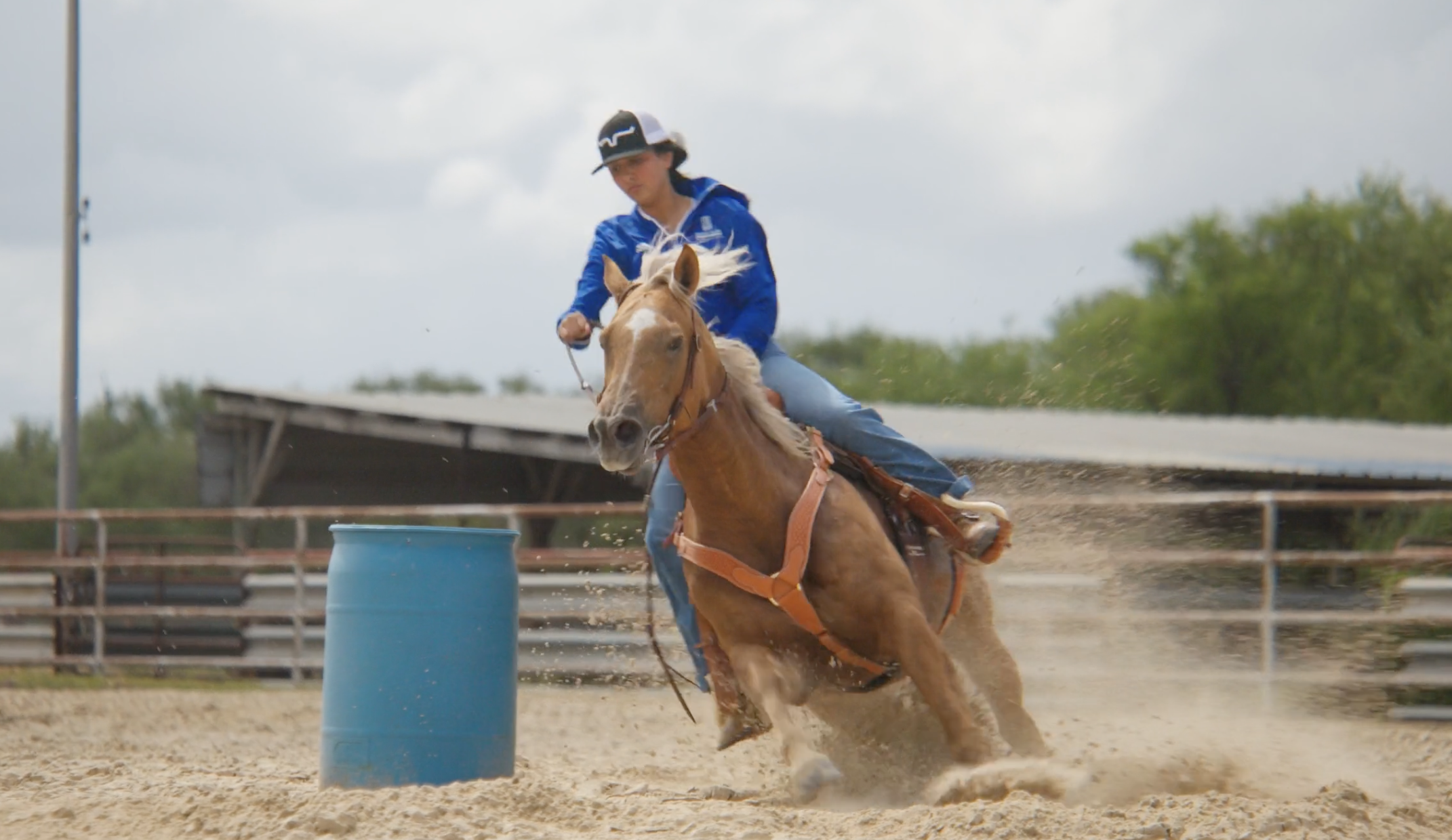 Texas A&M University Kingsville - Work Hard Play Hard