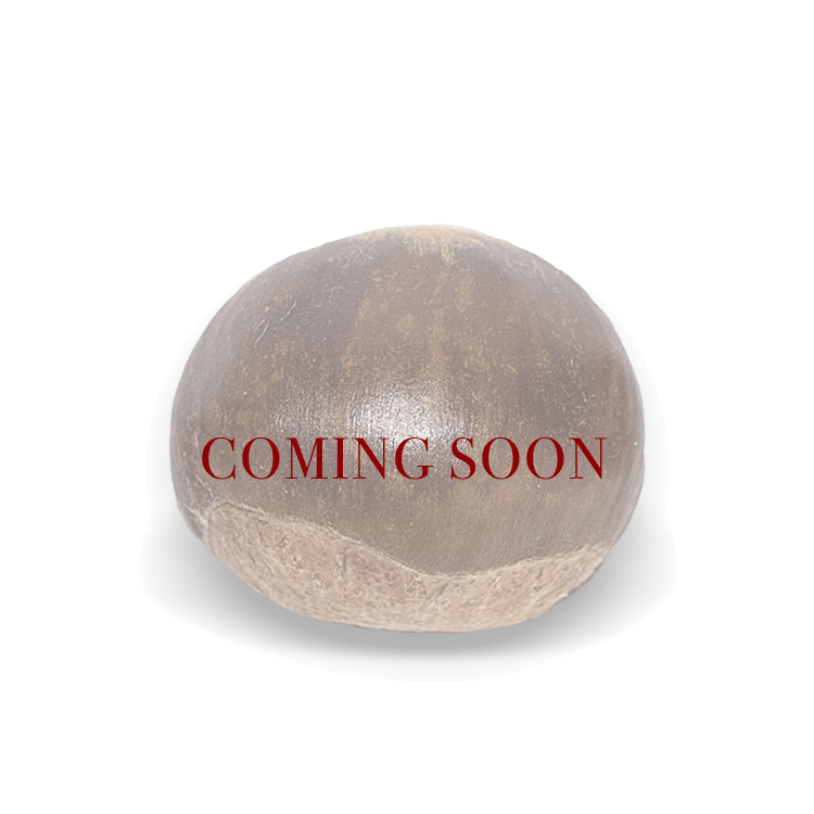 Large Chestnuts