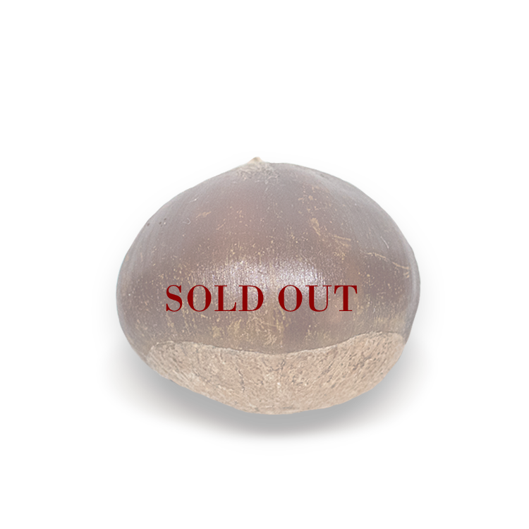 Medium Chestnuts — Cedar Hill Farms