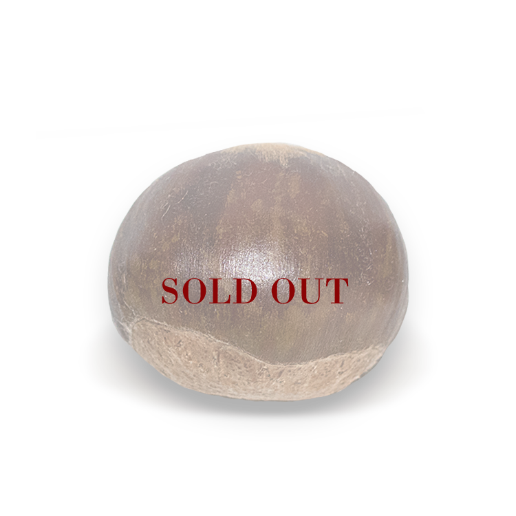 Large Chestnuts