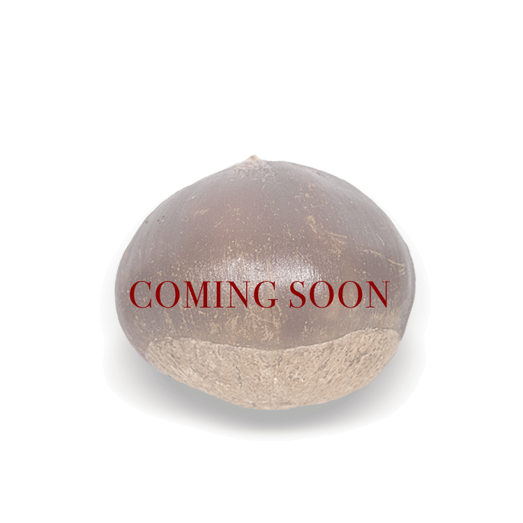 Medium Chestnuts