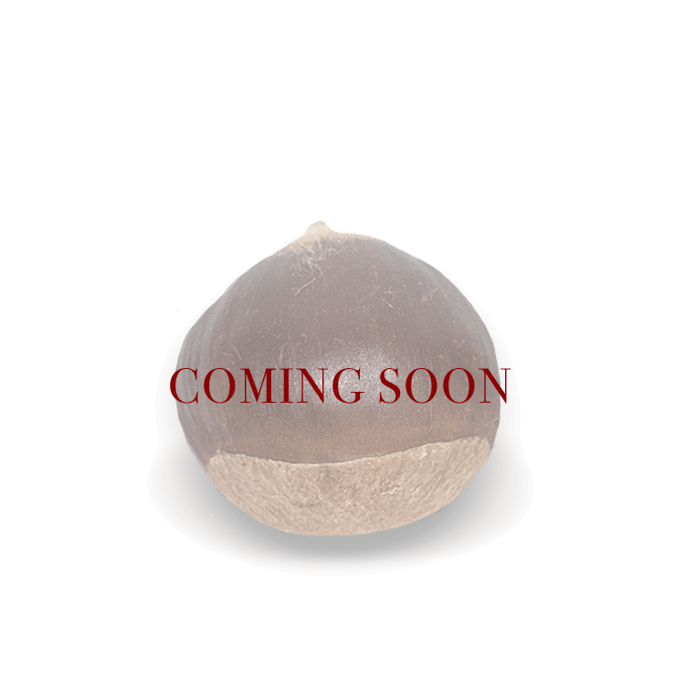 Small Chestnuts