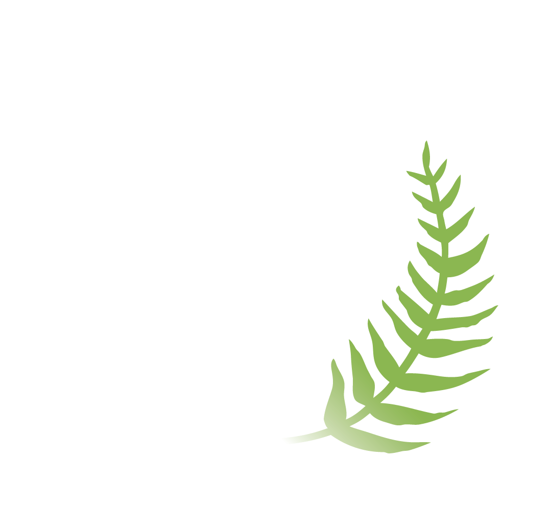 LiveEdge Eco Salon