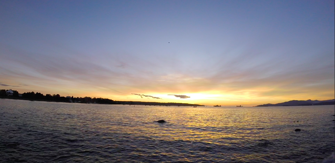 Screen Shot 2018-01-26 at 2.44.54 PM.png