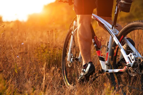 Mountain bike sticker decals