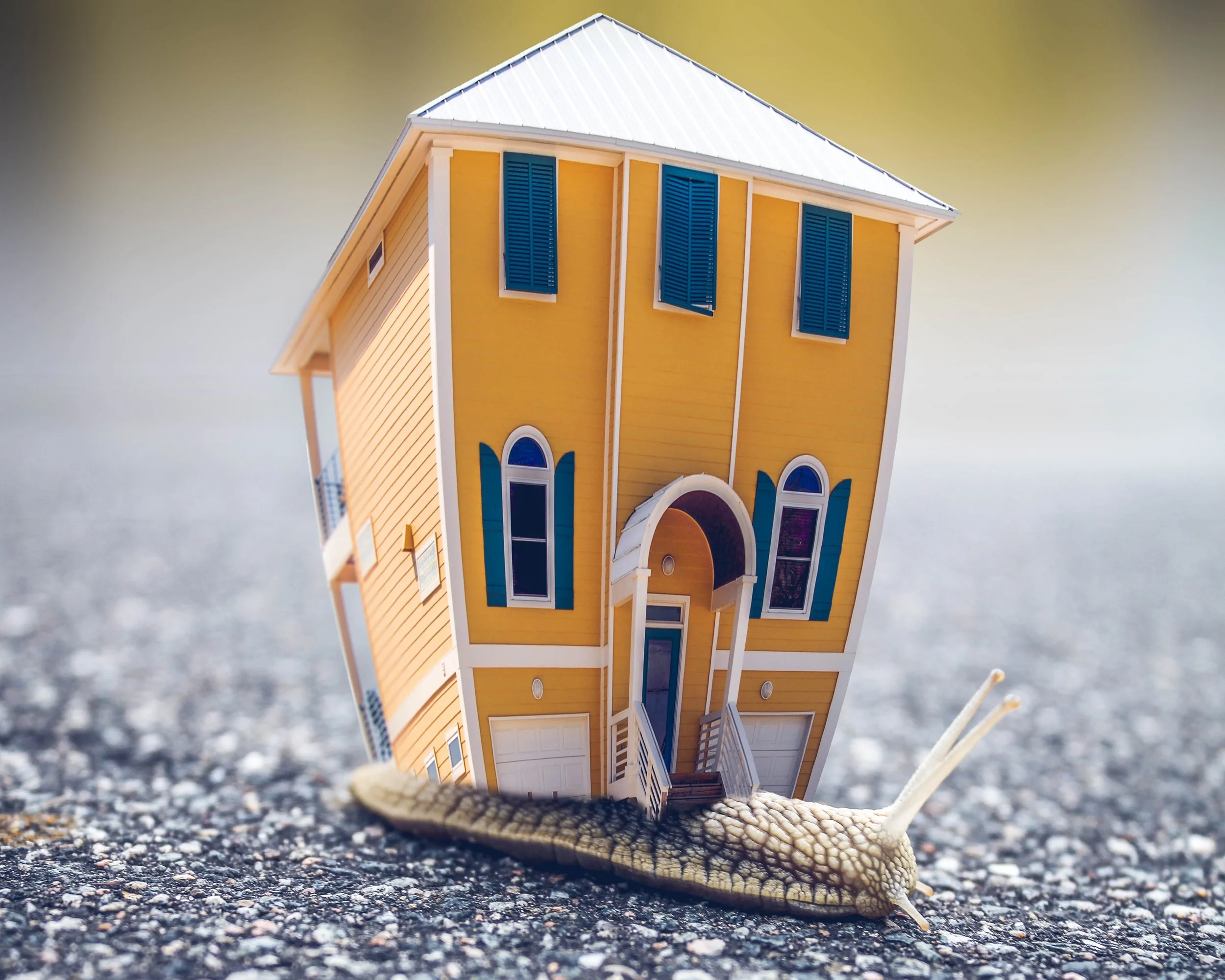 #AquilaWealthNewsletter -- Home Ownership vs. The Stock Market and An Under Appreciated Way to Save Money - Your Car(s)