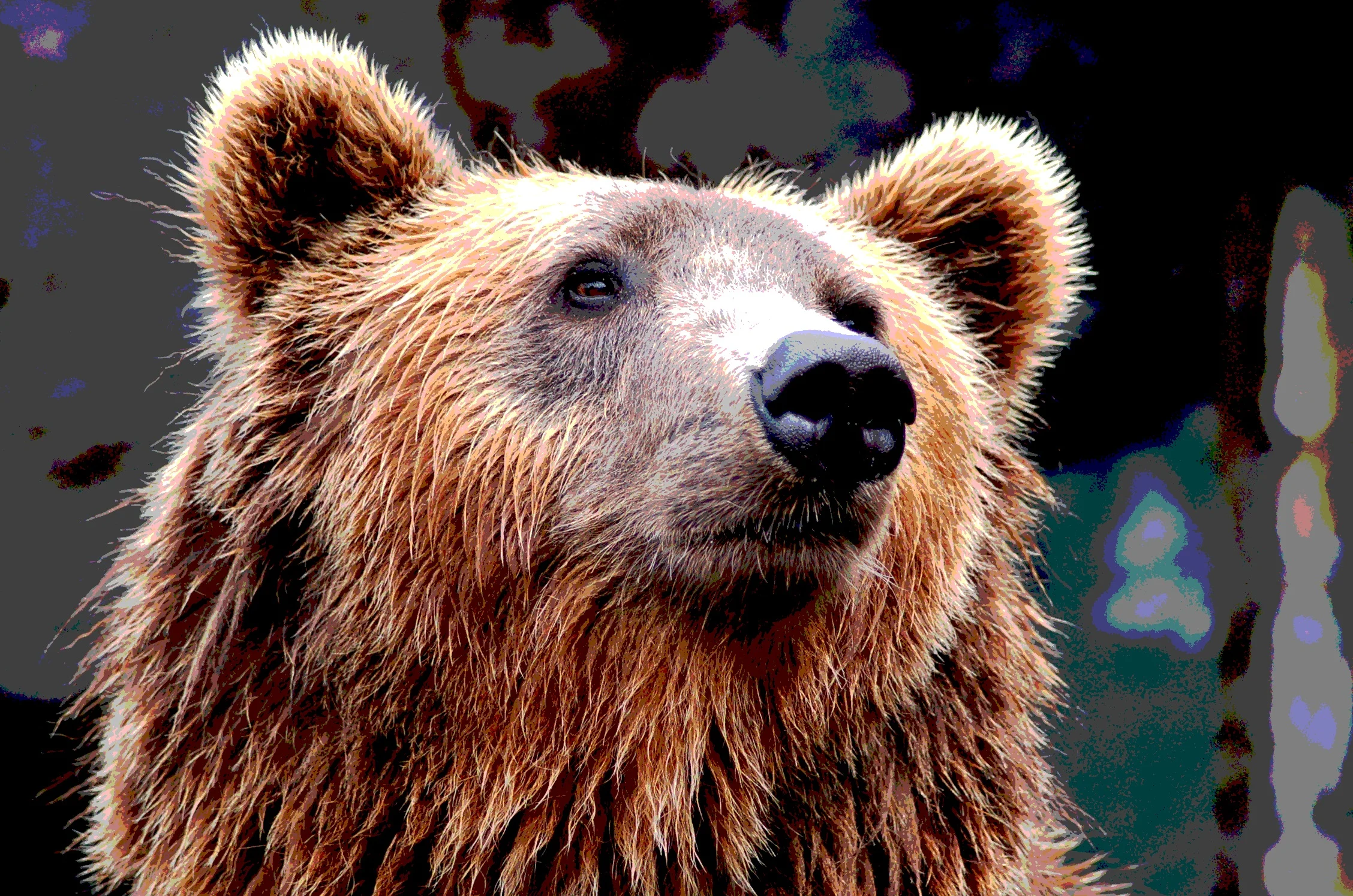 Bear Markets and What to Focus On