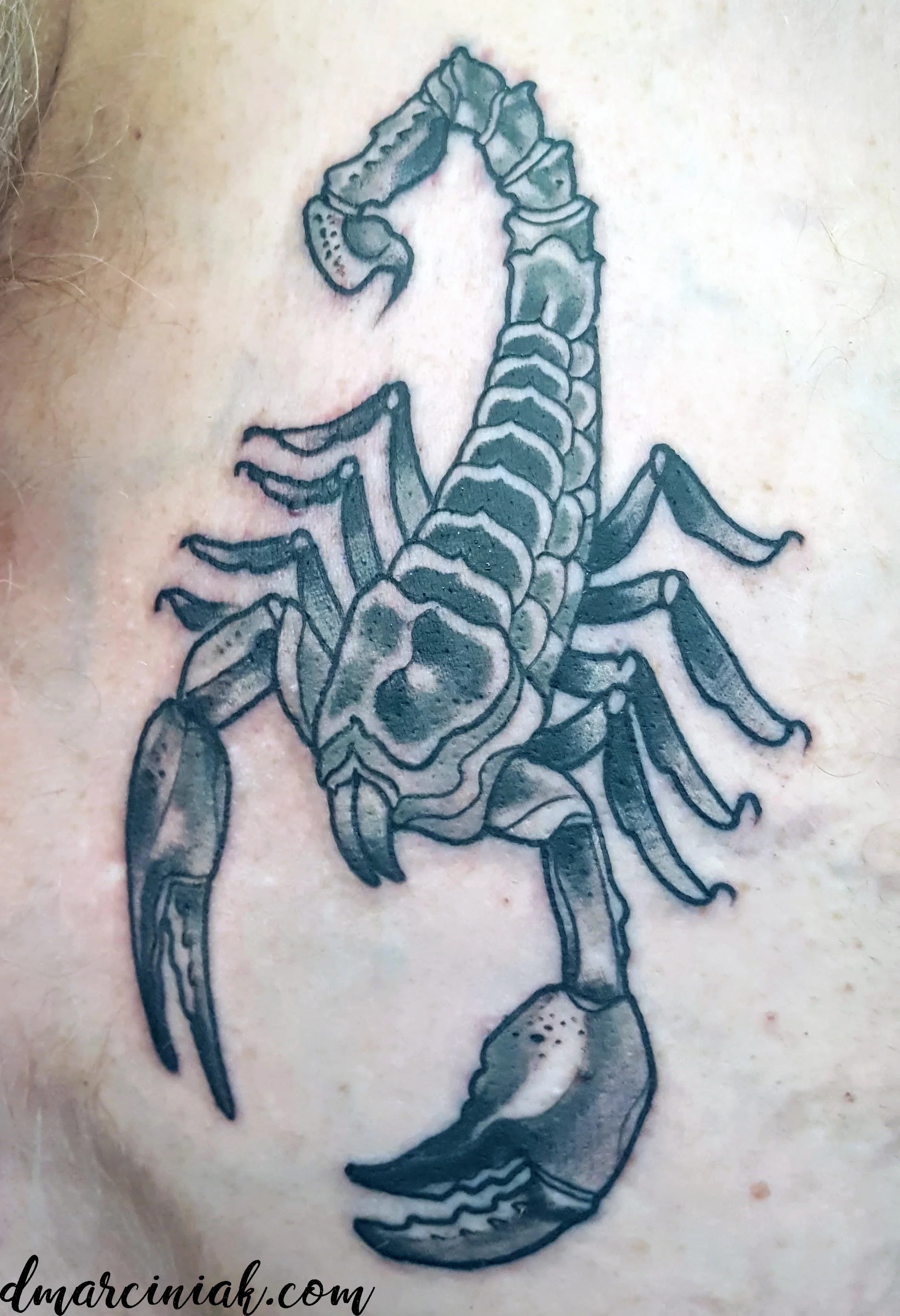scorpion.jpg
