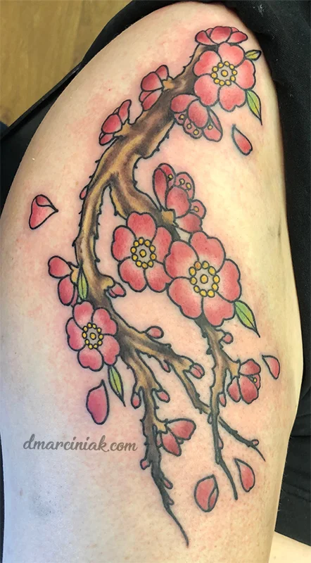 cherryblossom.jpg