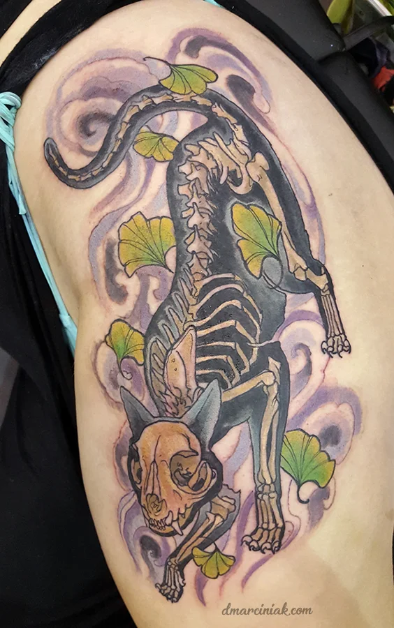 skeletoncat.jpg