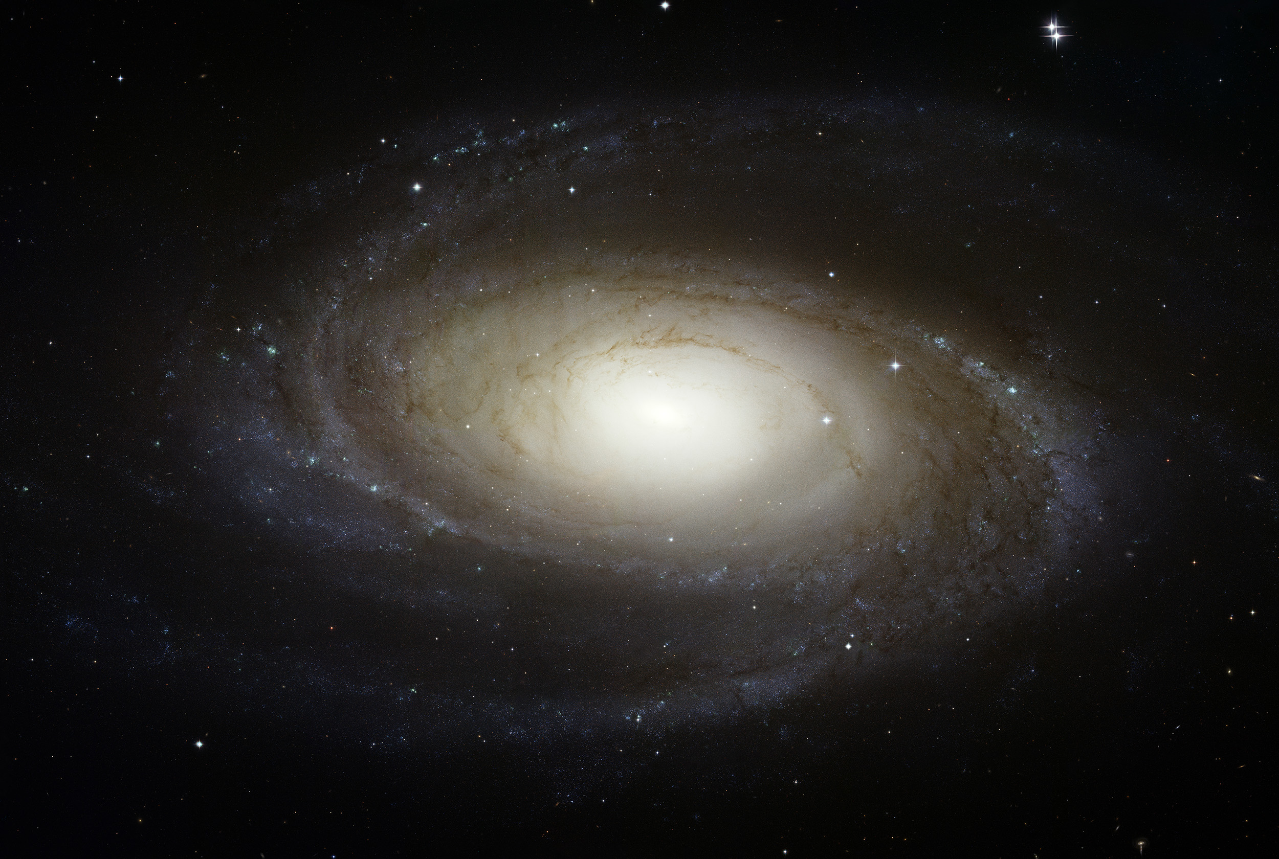 Messier_galaxy.jpg
