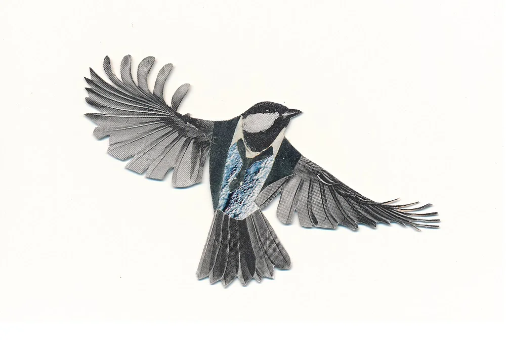 business-bird.jpg