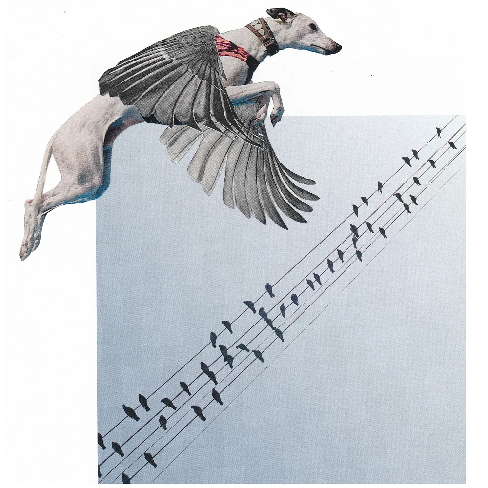 wings-of-liberty.jpg