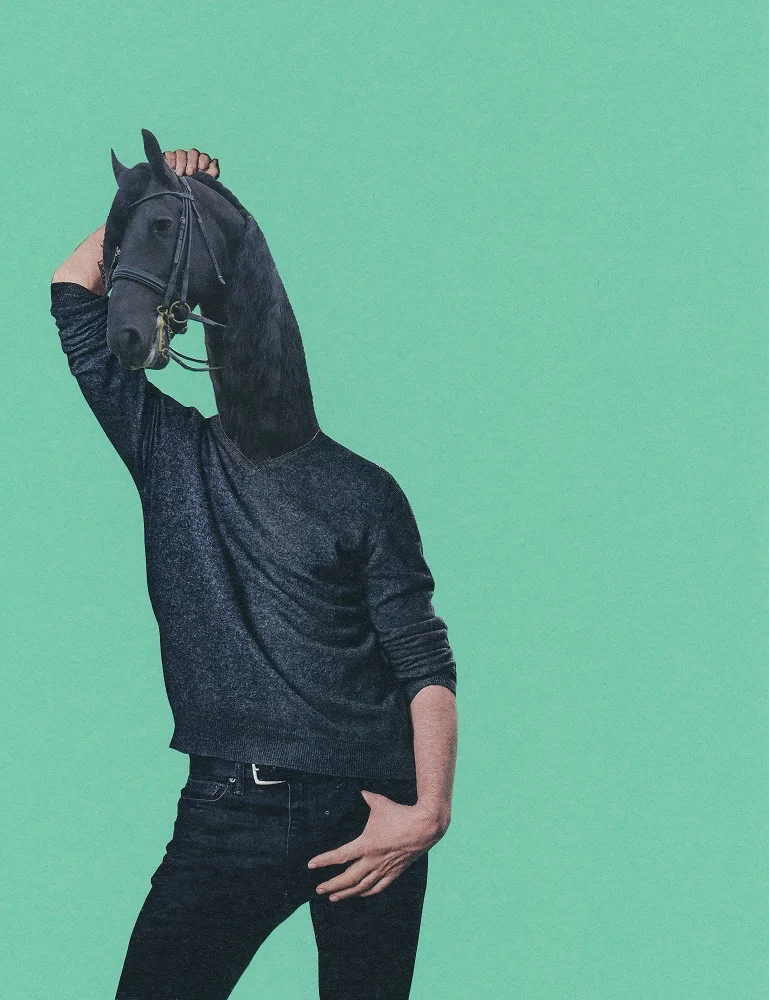 the-stallion.jpg
