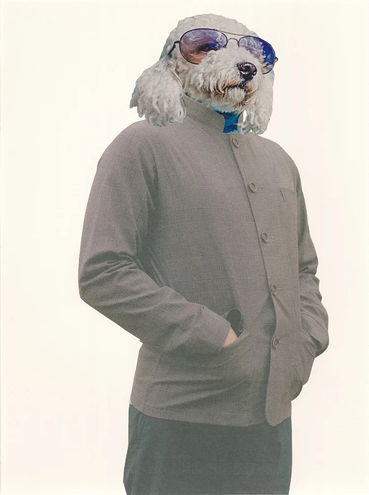 curly-cool.jpg