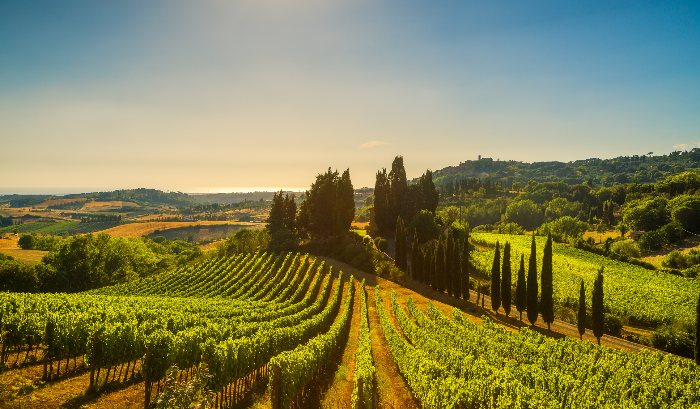 iStock-909105552.jpg