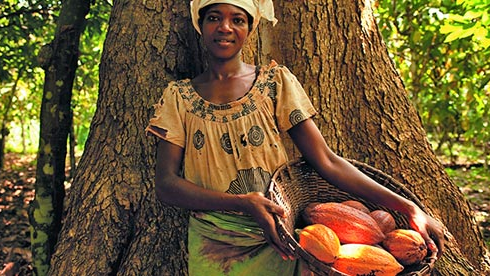 cacao_farmer.png