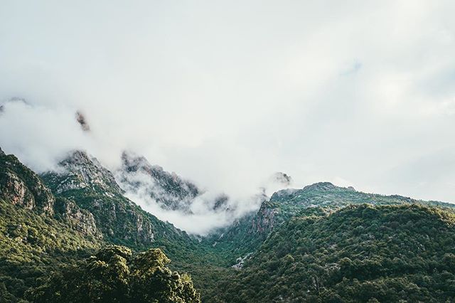 Nature’s finest ☁️🙌🏼 @eddison0711 @hillsonsco @matroosi #fujiframez #fujix100f #fujixseries #landscape #motorcycle #roadtrip #roaming #ridemotorcycleshavefun #explore #onedownfourup #braap #photography #photooftheday #crewlove