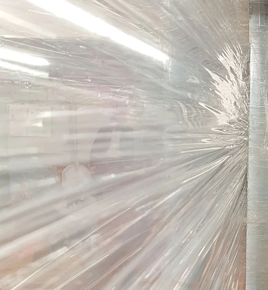 'Symbiotic' exhibition