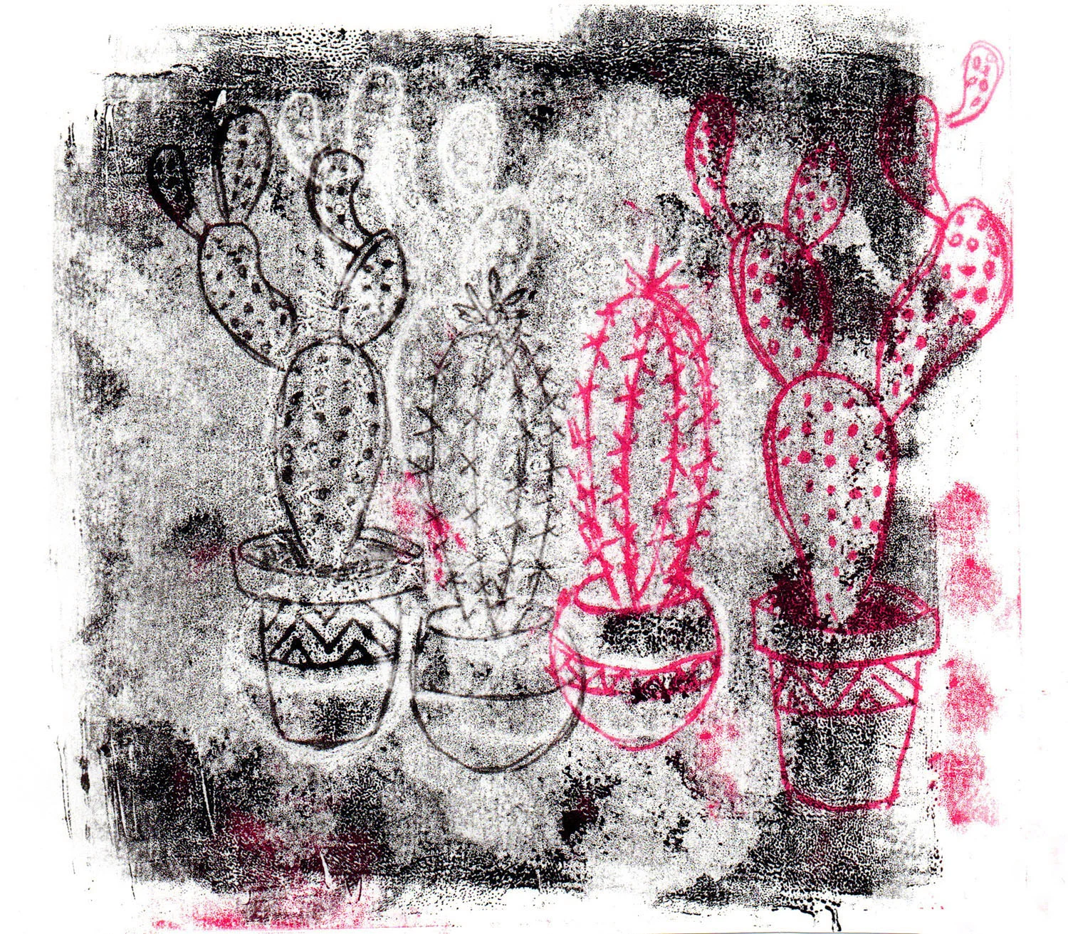 cactus011.jpg