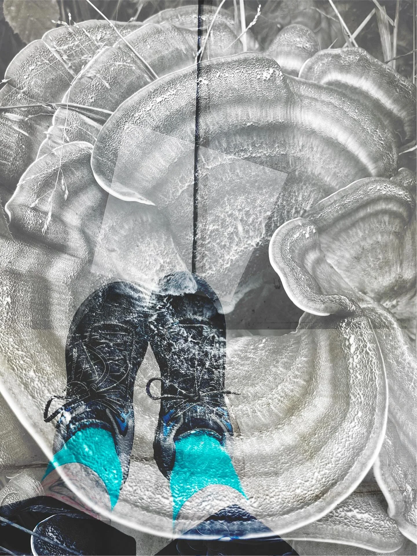 Self
.
.
.
.
#myfeet #reflecting #fungus #mushroom #texture #layers #photograpy #photoediting #selfportrait #selfportraitphotography #portrait  #contemporaryart #wip #contemporaryartist #artist #helenljackson #selfie #self #digitalart #visualartist #